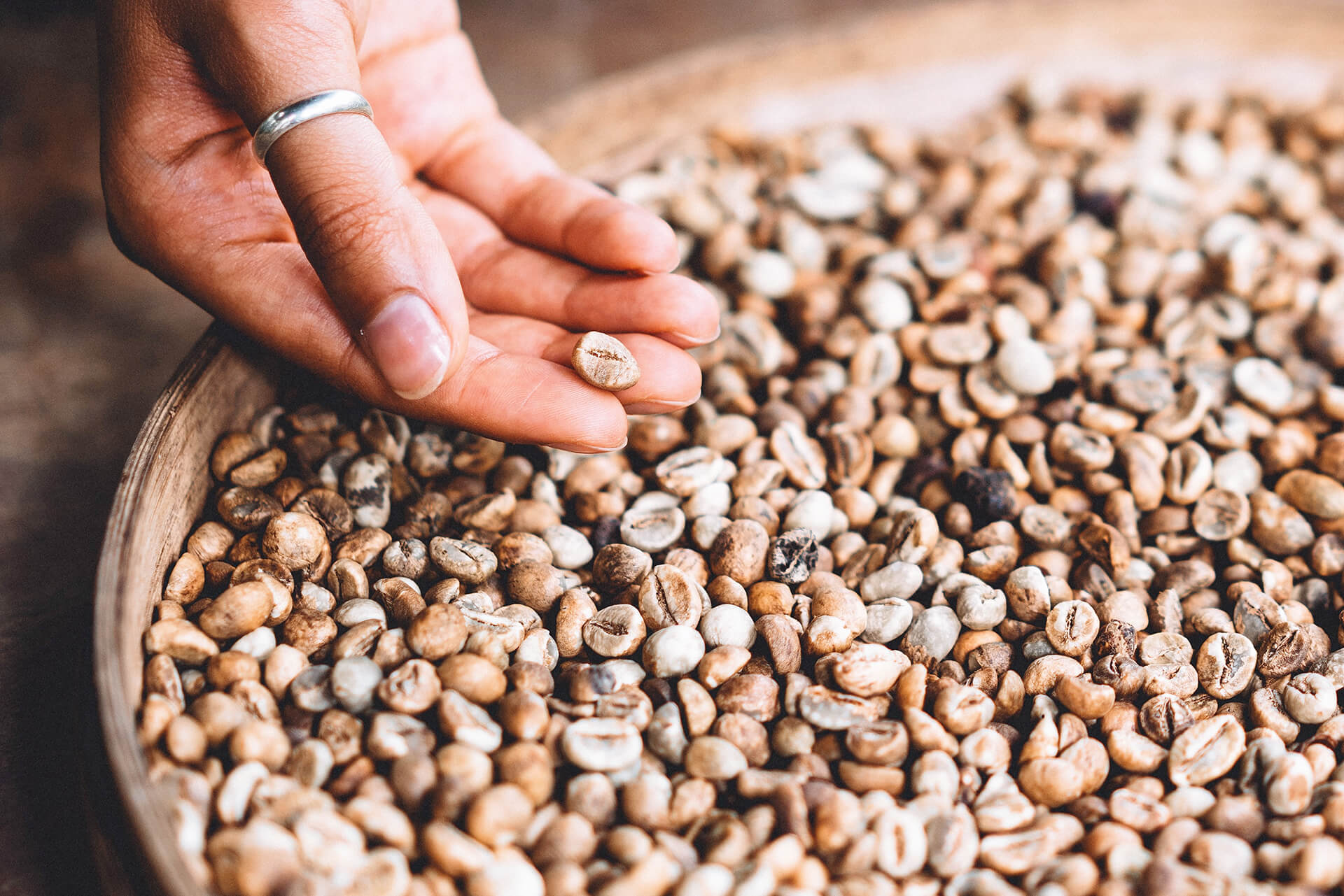 A hand holding a green coffee bean above a wood bowl of green coffee beans.