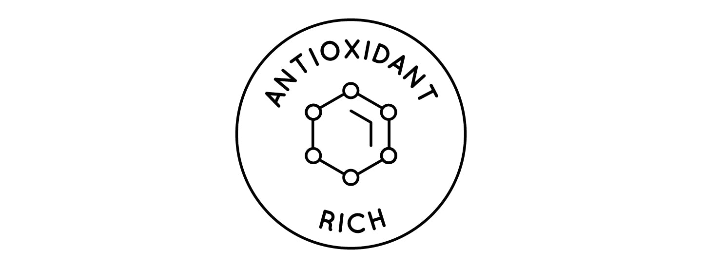 Antioxidant rich icon with illustration of chemical compound.
