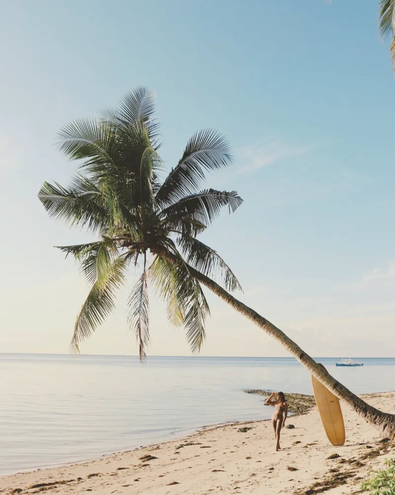 A woman standing next to a surfboard under a palm tree on a sunny day at the ocean.