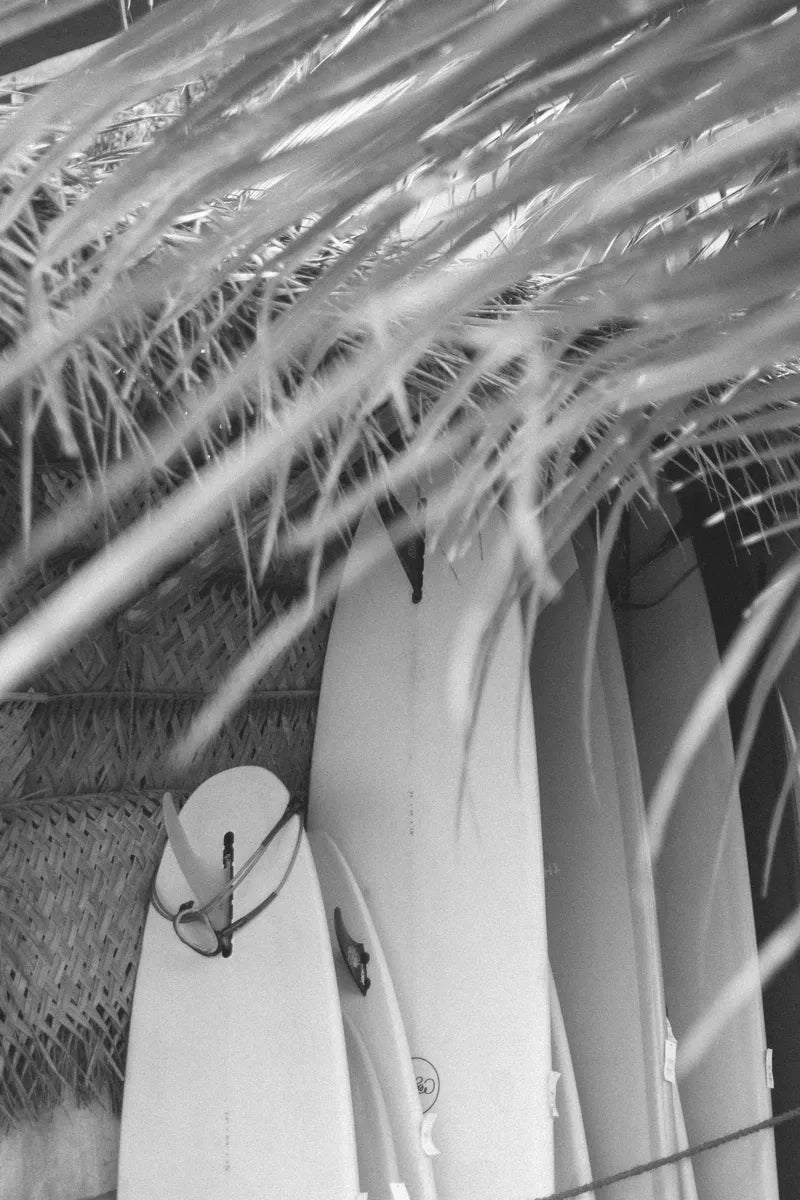 A black and white photo of surfboards stacked in a grass hut under a grass roof.