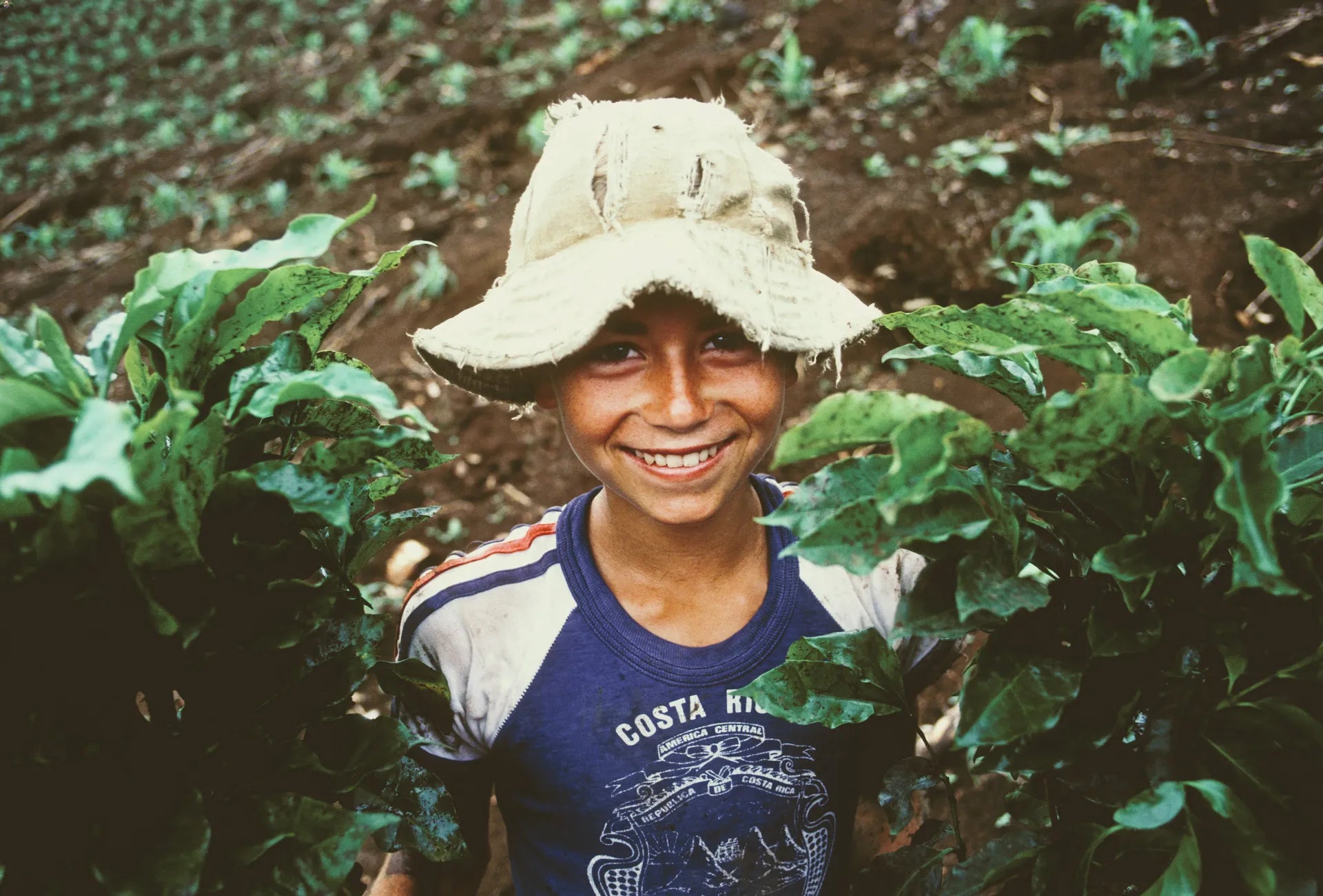 A smiling boy wearing a bucket hat standing between two coffee plants in Costa Rica.