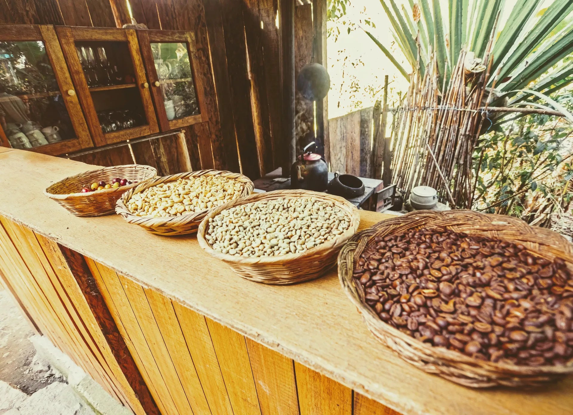 Various coffee beans sorted into baskets on a rustic table in Peru.